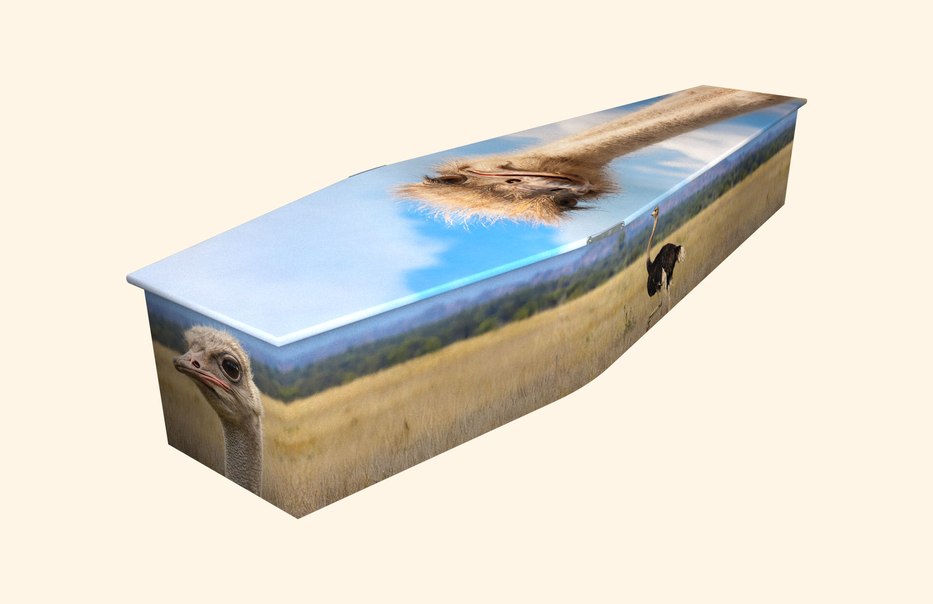 Ostrich Race design on a traditional coffin